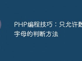 PHP编程技巧:只允许数字和字母的判断方法- 数创文库