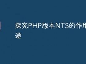 探究PHP版本NTS的作用和用途- 数创文库