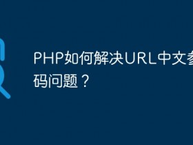 PHP如何解决URL中文参数乱码问题?- 数创文库