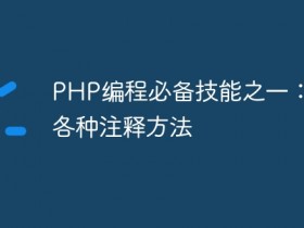 PHP编程必备技能之一:掌握各种注释方法- 数创文库