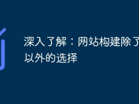 深入了解:网站构建除了PHP以外的选择- 数创文库