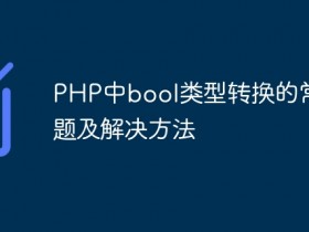 PHP中bool类型转换的常见问题及解决方法- 数创文库