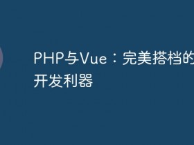 PHP与Vue:完美搭档的前端开发利器- 数创文库