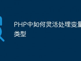 PHP中如何灵活处理变量存储类型- 数创文库