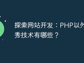 探索网站开发:PHP以外的优秀技术有哪些?- 数创文库