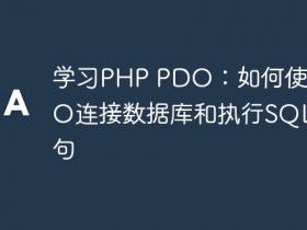 学习PHP PDO:如何使用PDO连接数据库和执行SQL语句- 数创文库