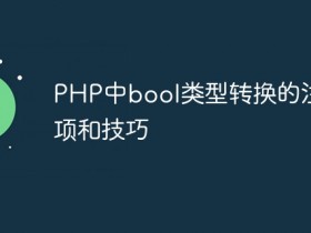 PHP中bool类型转换的注意事项和技巧- 数创文库