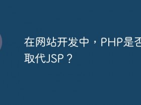 在网站开发中,PHP是否可以取代JSP?- 数创文库