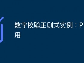 数字校验正则式实例:PHP应用- 数创文库