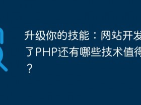 升级你的技能:网站开发除了PHP还有哪些技术值得学习?- 数创文库