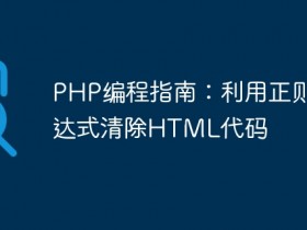PHP编程指南:利用正则表达式清除HTML代码- 数创文库