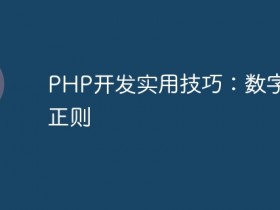 PHP开发实用技巧:数字验证正则- 数创文库