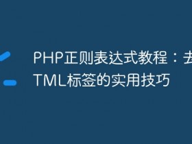 PHP正则表达式教程:去除HTML标签的实用技巧- 数创文库
