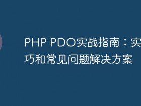 PHP PDO实战指南:实用技巧和常见问题解决方案- 数创文库