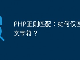 PHP正则匹配:如何仅匹配中文字符?- 数创文库